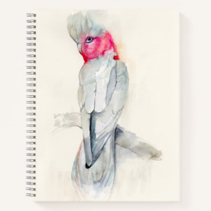Watercolor Opera Cockatoo Notebook
