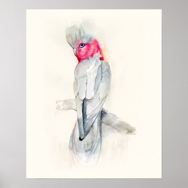 Watercolor Opera Cockatoo Poster (Front)