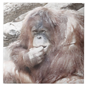 Watercolor Orang 2 Tile