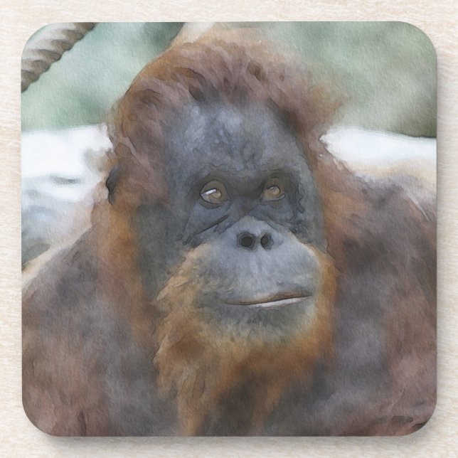Watercolor Orang Coaster (Front)