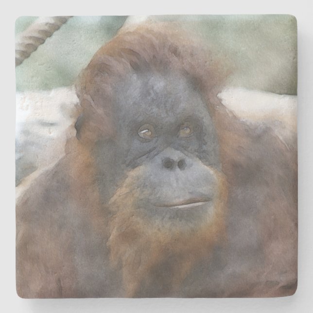 Watercolor Orang Stone Coaster (Front)