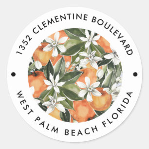 Watercolor Orange Clementine Return Address Classic Round Sticker