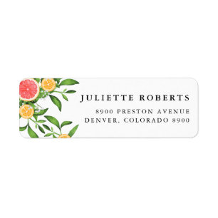 Watercolor Oranges and Grapefruits