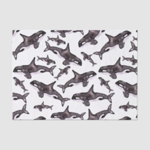 Watercolor Orca Tissue Paper