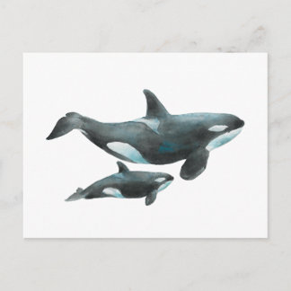 Watercolor Orca Whale Mother and Baby Poster Postcard