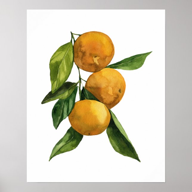 Watercolor Organic Tangerines Poster (Front)