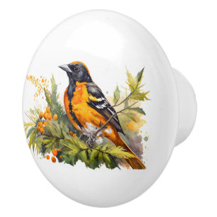 Watercolor Oriole On Branch and Berries Ceramic Knob