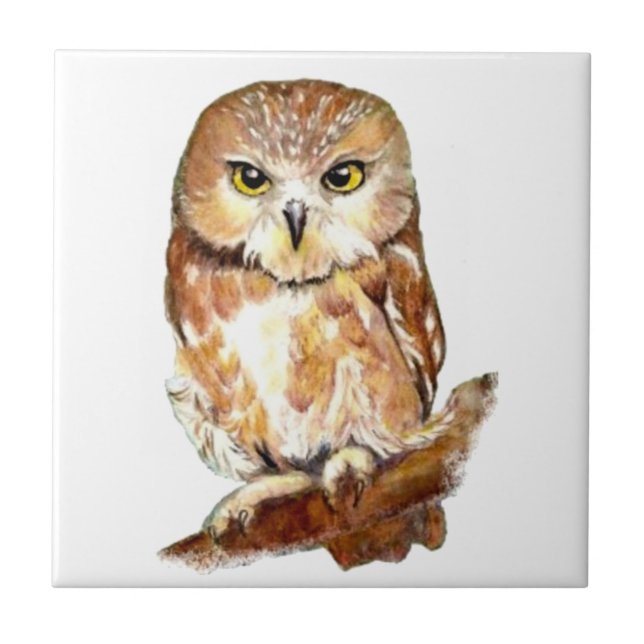 Watercolor  Owl Cute Bird art Tile (Front)