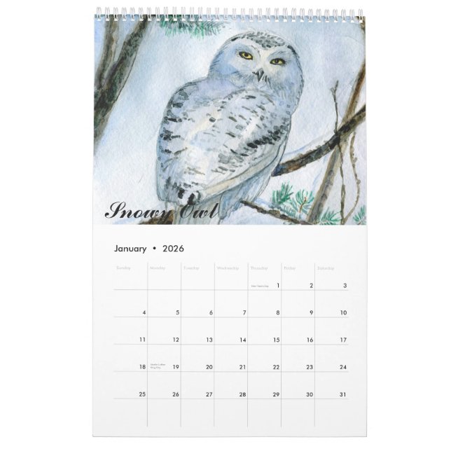 Watercolor owls  paintings calendar 2015 close-ups (Jan 2026)