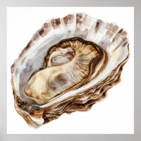 Watercolor oyster illustration