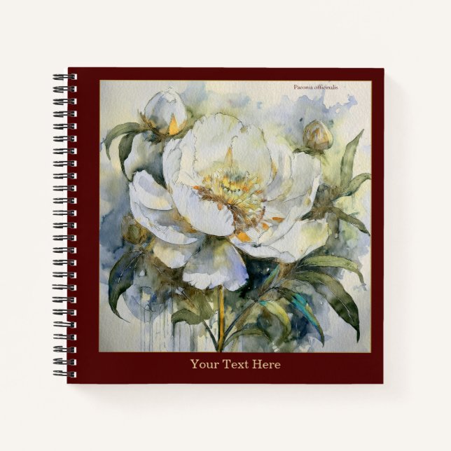 Watercolor Paeonia Officinalis Notebook #2 (Front)