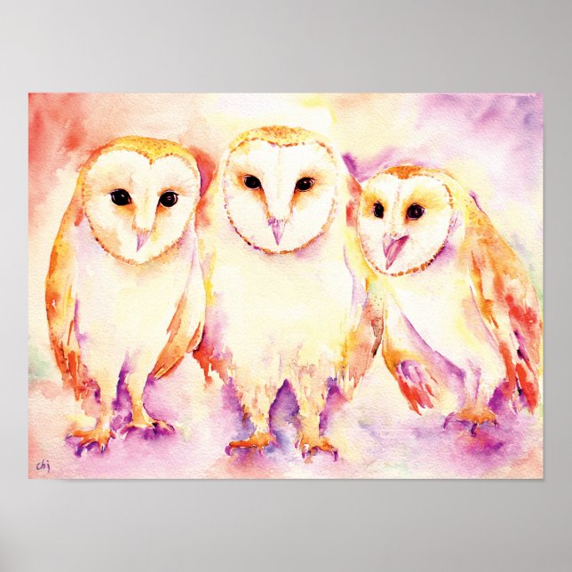 Watercolor Painting of 3 Barn Owls Poster (Front)