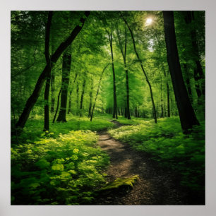 Watercolor Painting of a lush Summer Forest Poster