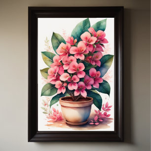 Watercolor Painting of Bouganvillea in Pot Poster