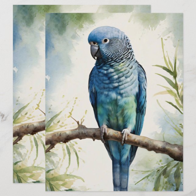 Watercolor Parakeet Eucalyptus Scrapbook Paper (Front/Back)