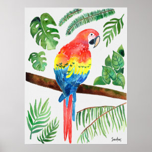 Watercolor Parrot Poster