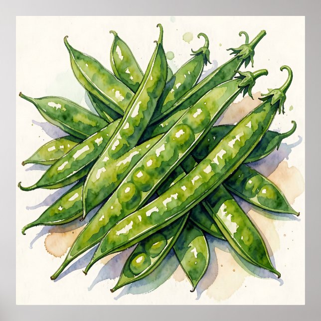 Watercolor Pea Pods Poster (Front)