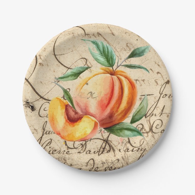 watercolor peach paper plate (Front)