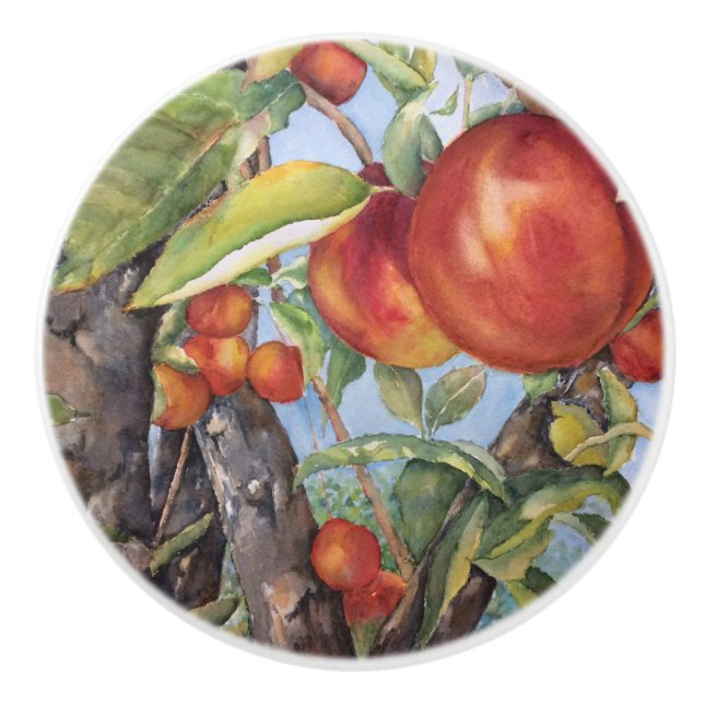 Watercolor Peach Tree Orchard Fruit Harvest  Ceramic Knob (Front)