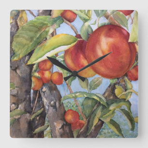 Watercolor Peach Tree Orchard Fruit Harvest  Square Wall Clock