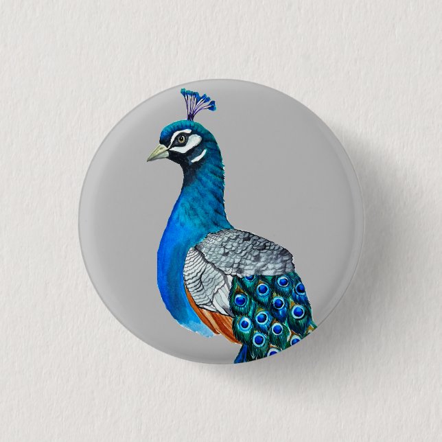 Watercolor peacock 1 inch round button (Front)