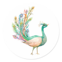 Watercolor  Peacock
