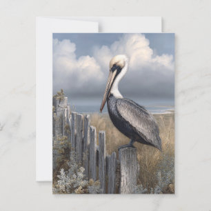 Watercolor Pelican on a Fence Postcard