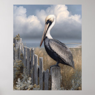 Watercolor Pelican on a Fence Poster