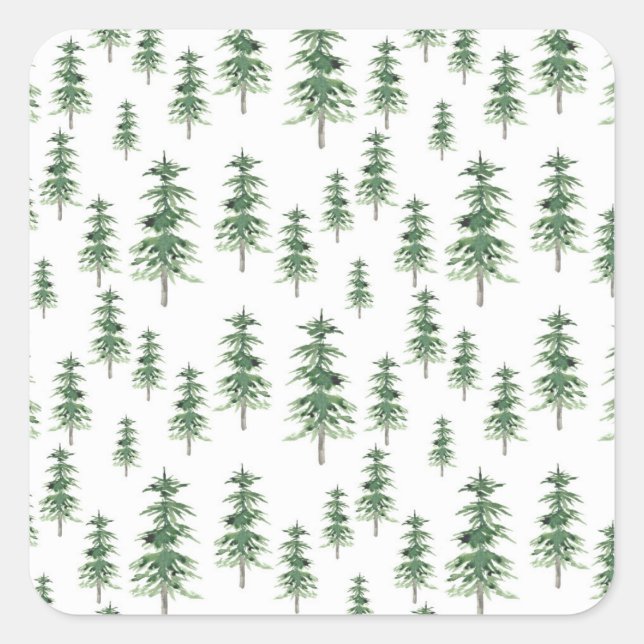 Watercolor Pine Tree Pattern Square Sticker (Front)