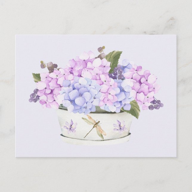 Watercolor Pink and Purple Hydrangea Flowers  Postcard (Front)