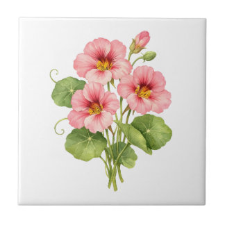 Watercolor Pink Nasturtium Flowers Tile