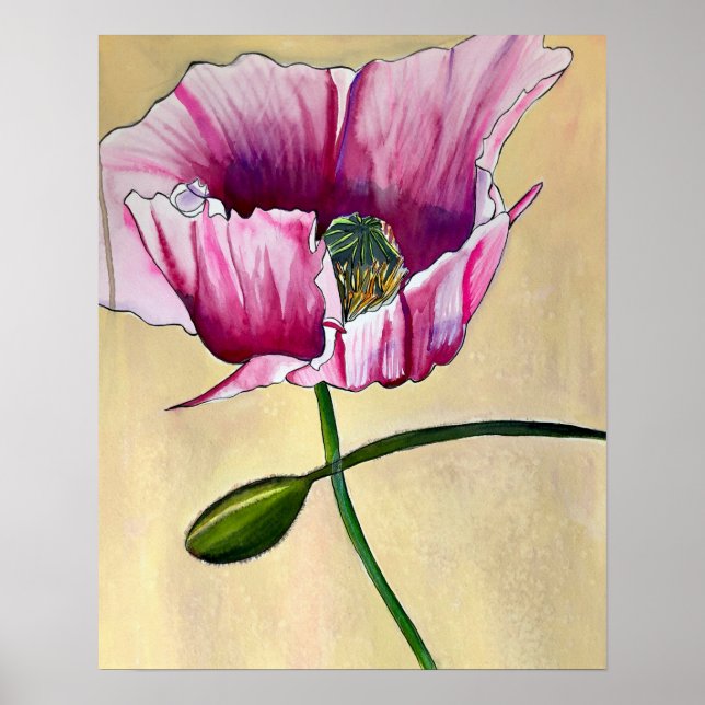 Watercolor pink poppy art flower poster (Front)