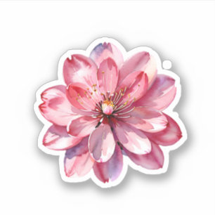 Watercolor Pink Sakura Cherry Blossoms Flower