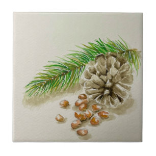 Watercolor Pinõn Nuts Pinecone New Mexico Tile
