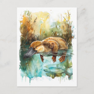 Watercolor Platypus Swimming in Pond Postcard