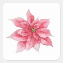 Watercolor Poinsettia Stickers