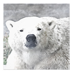 Watercolor Polar Bear Photo Print
