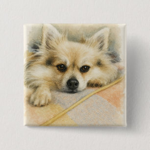 Watercolor Pomeranian Chihuahua Dog Portrait 2 Inch Square Button