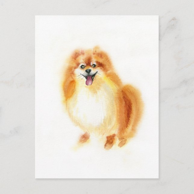 Watercolor Pomeranian dog. Postcard (Front)