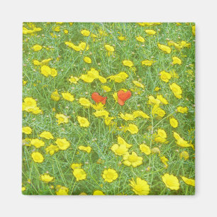 Watercolor poppies magnet