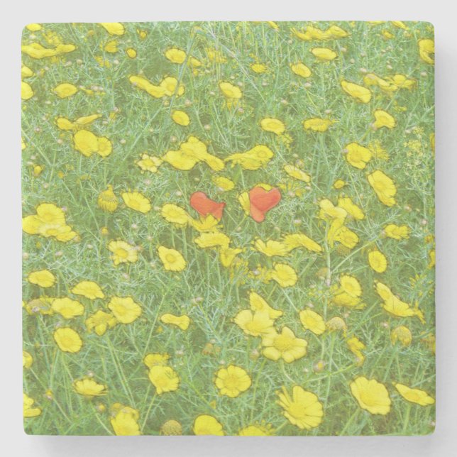 Watercolor poppies stone coaster (Front)