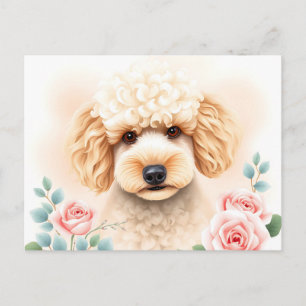Watercolor Portrait of a Fluffy Beige Poodle  Postcard