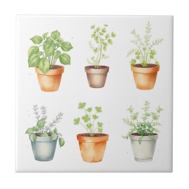 Watercolor Potted Herbs on Cream Background Tile (Front)