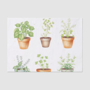 Watercolor Potted Herbs on Cream Background Tissue Paper