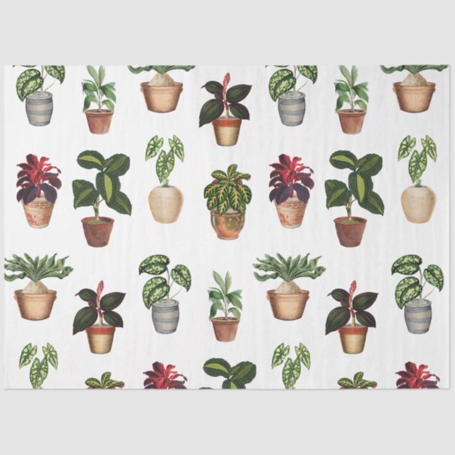 Watercolor Potted Plants Terracotta Pots Pattern  Tissue Paper (Front)