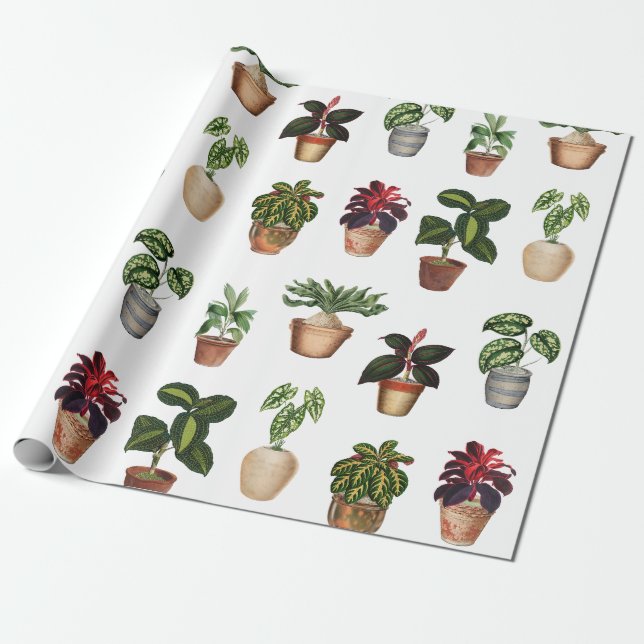 Watercolor Potted Plants Terracotta Pots Pattern  Wrapping Paper (Unrolled)