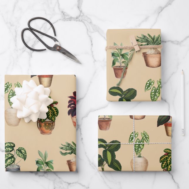 Watercolor Potted Plants Terracotta Pots Pattern  Wrapping Paper Sheet (Front)