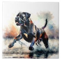 Watercolor powerful Cane Corso dog