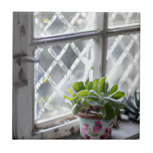 Watercolor Pretty Plant in the Window Tile