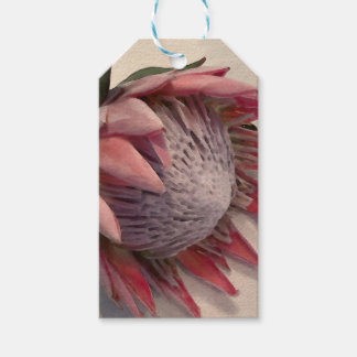 Watercolor Protea  Gift Tags